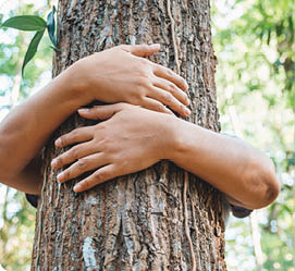 A woman stand behind and give a hug to the old tree in the tropical forest