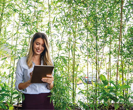 Concept of pass and increase of renewable energy. Alternative sources of energy. Green energy, eco energy. Eco business investment