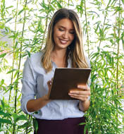 Concept of pass and increase of renewable energy. Alternative sources of energy. Green energy, eco energy. Eco business investment