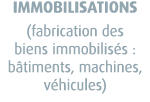 IMMOBILISATIONS (fabrication des biens immobilis s : b timents, machines, v hicules)