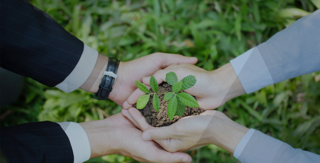 La MACSF s’engage contre le dérèglement climatique