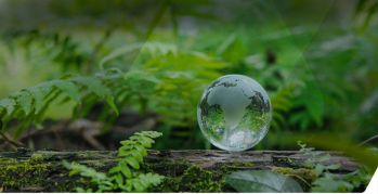 Les engagements du groupe MACSF en faveur du climat