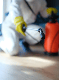 prestation assurance habitation