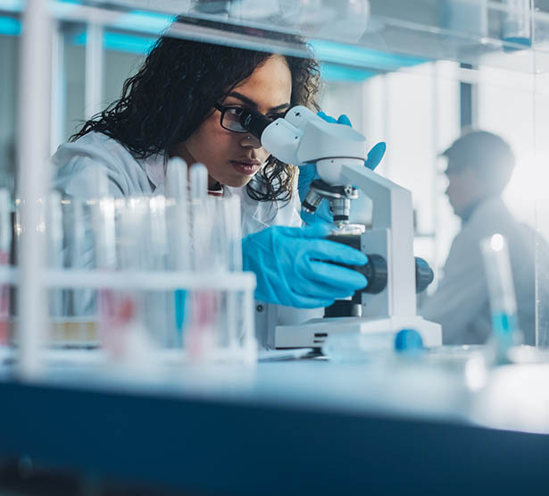 Du constat des zoonoses au concept d'Une seule santé (One Health) - MACSF