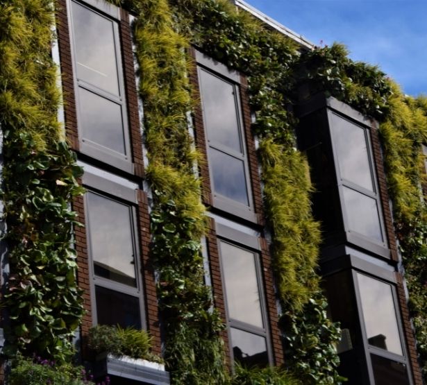 Entreprise avec murs végétaux immobilier responsable MACSF