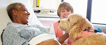 Une patiente avec son chien sur son lit d'hopital | MACSF