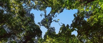 La COP 26 : accélération pour la transition énergétique ?