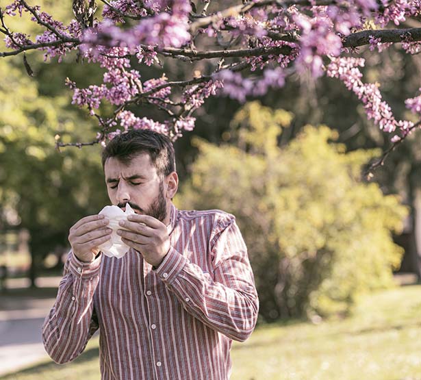 Homme souffrant d'une rhinite allergique - MACSF