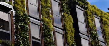 Entreprise avec murs végétaux immobilier responsable MACSF