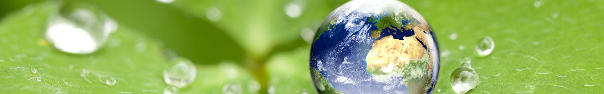 Environnement