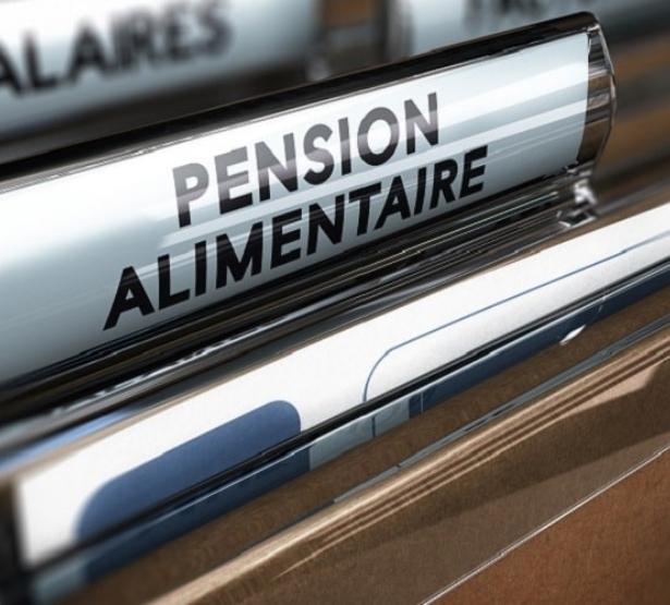 La pension alimentaire répond à l’obligation légale de contribuer à l’entretien et à l’éducation de ses enfants. Elle intervient le plus souvent en cas de divorce ou de séparation.