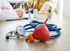 Représentation d'une vessie et d'une prostate à côté d'un stéthoscope - MACSF