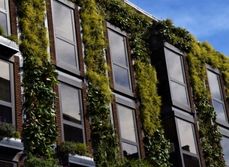 Entreprise avec murs végétaux immobilier responsable MACSF