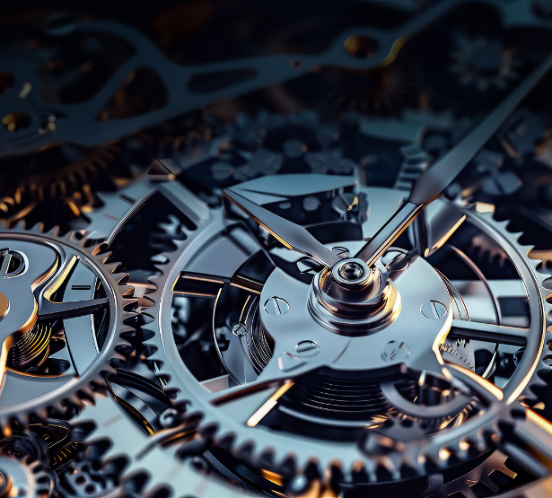 Performances des profils permanents 2024 MACSF