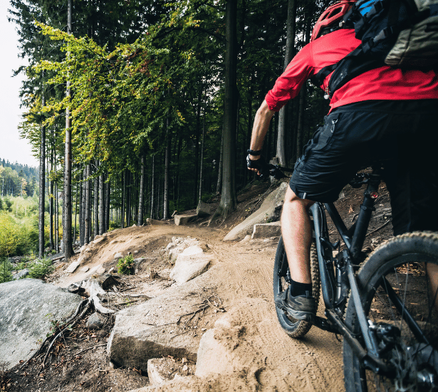 accident velo en foret garantie accident de la vie