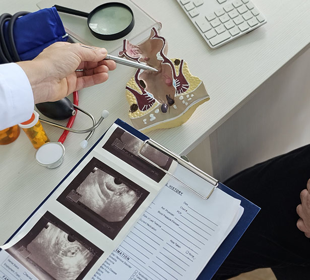Un médecin donne des explications à son patient à l'aide d'un modèle anatomique - MACSF