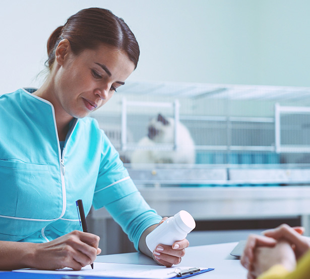 Une vétérinaire prescrit des comprimés - MACSF