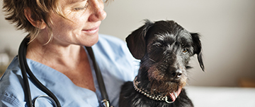 Une femme vétérinaire porte un chien - MACSF