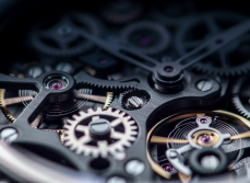 Performances des profils permanents 2024 MACSF