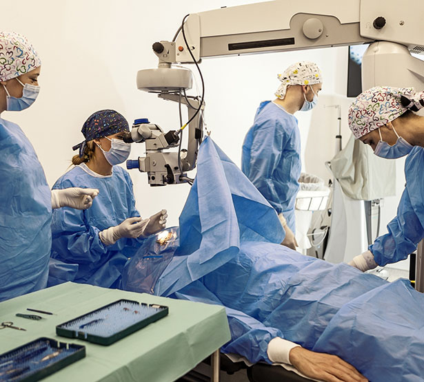 Une équipe de chirurgiens au bloc opératoire - MACSF