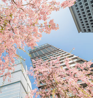 Le coin de l'investisseur - Météo des UC MACSF