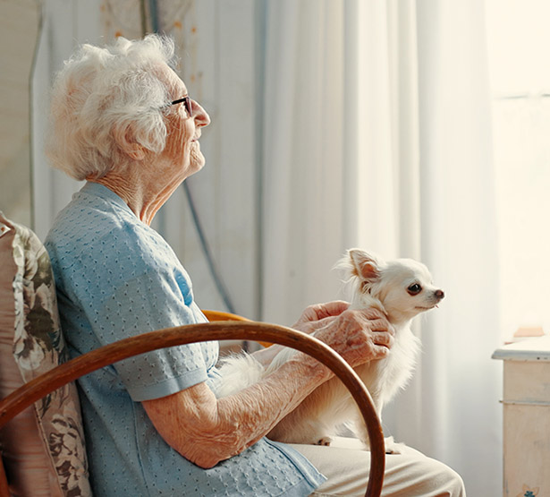 Une femme âgée regarde par la fenêtre avec son chien sur les genoux - MACSF