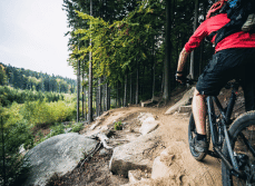 accident velo en foret garantie accident de la vie