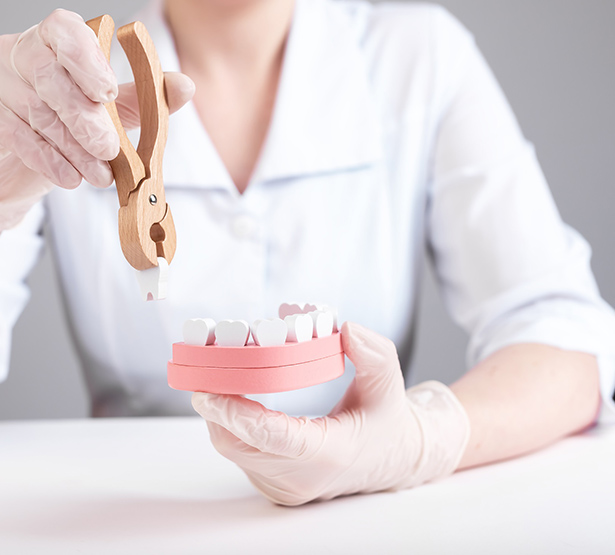 Une femme dentiste avec un modèle de mâchoire - MACSF
