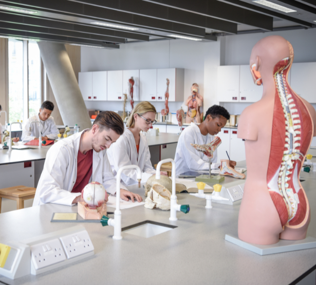 Études de santé en Europe : alternatives pour les étudiants français MACSF