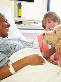 Une patiente avec son chien sur son lit d'hopital | MACSF