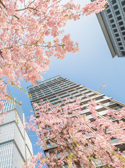 Le coin de l'investisseur - Météo des UC MACSF