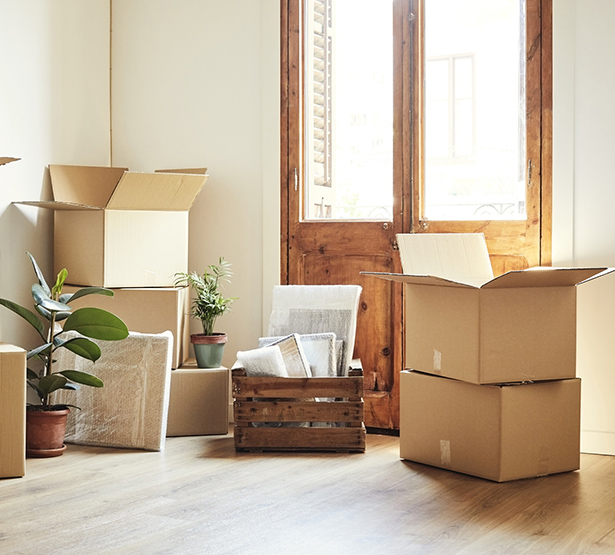 Des cartons de déménagements entreposés dans une entrée lumineuse - MACSF