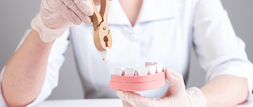 Une femme dentiste avec un modèle de mâchoire - MACSF