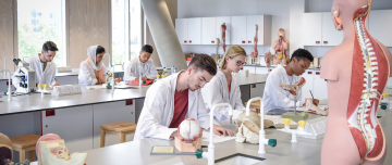 Études de santé en Europe : alternatives pour les étudiants français MACSF