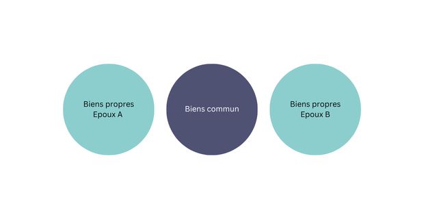Biens propres Epoux A (620 x 320 px).png