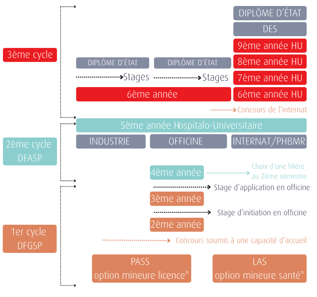 Parcours universitaire Docteur en pharmacie (1).png