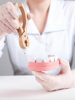 Une femme dentiste avec un modèle de mâchoire - MACSF