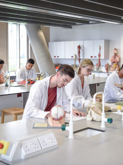 Études de santé en Europe : alternatives pour les étudiants français MACSF