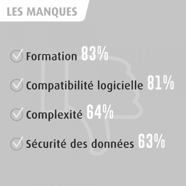 Numérique en chiffres - les manques